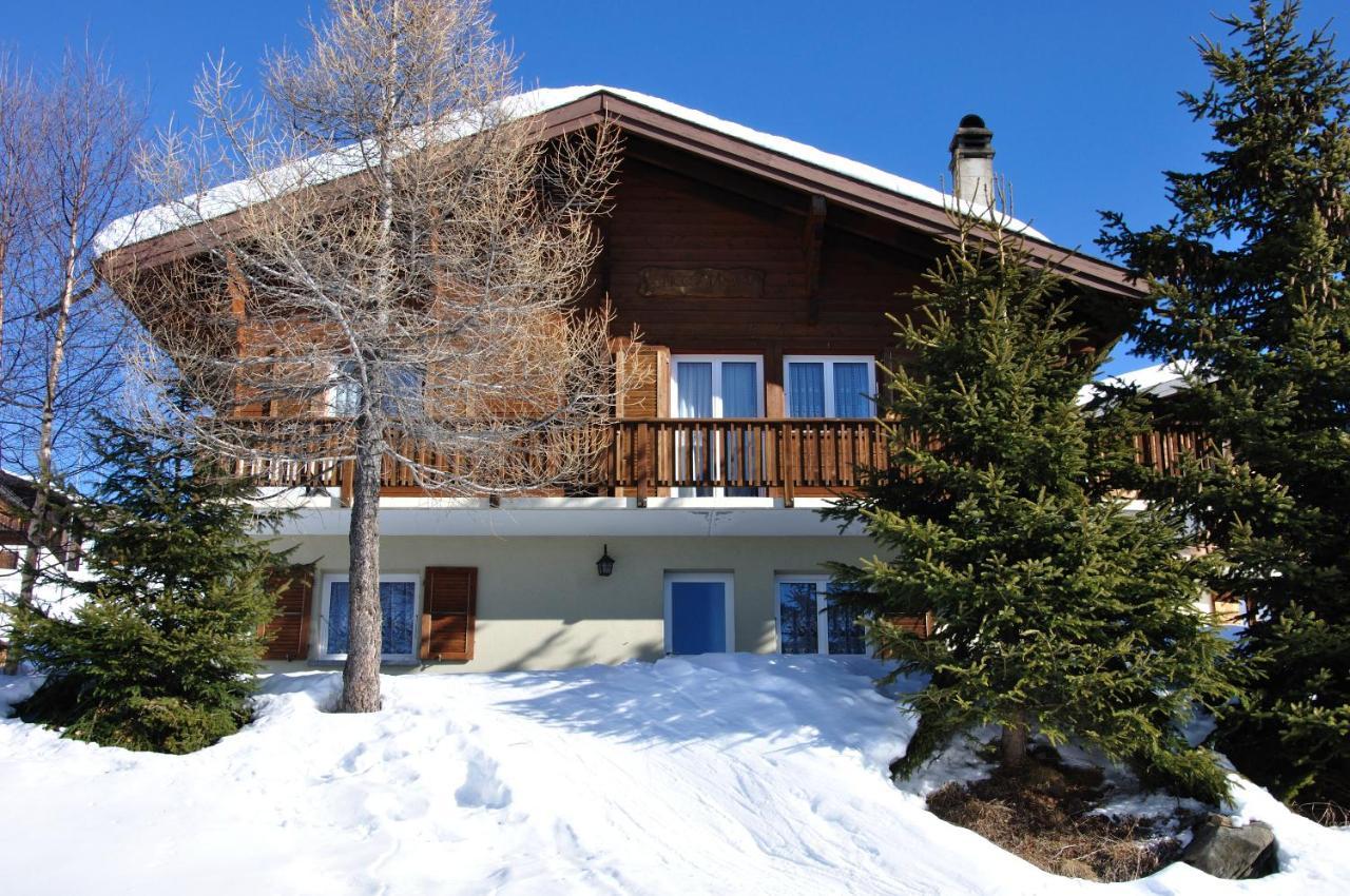 Chalet Bietschhorn Rosswald Termen Dış mekan fotoğraf