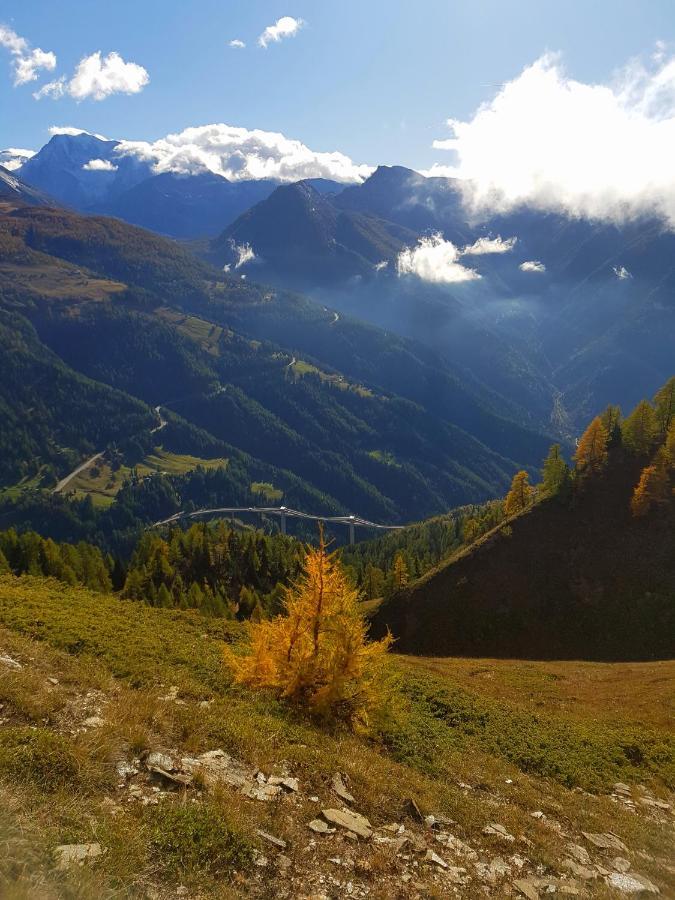 Chalet Bietschhorn Rosswald Termen Dış mekan fotoğraf