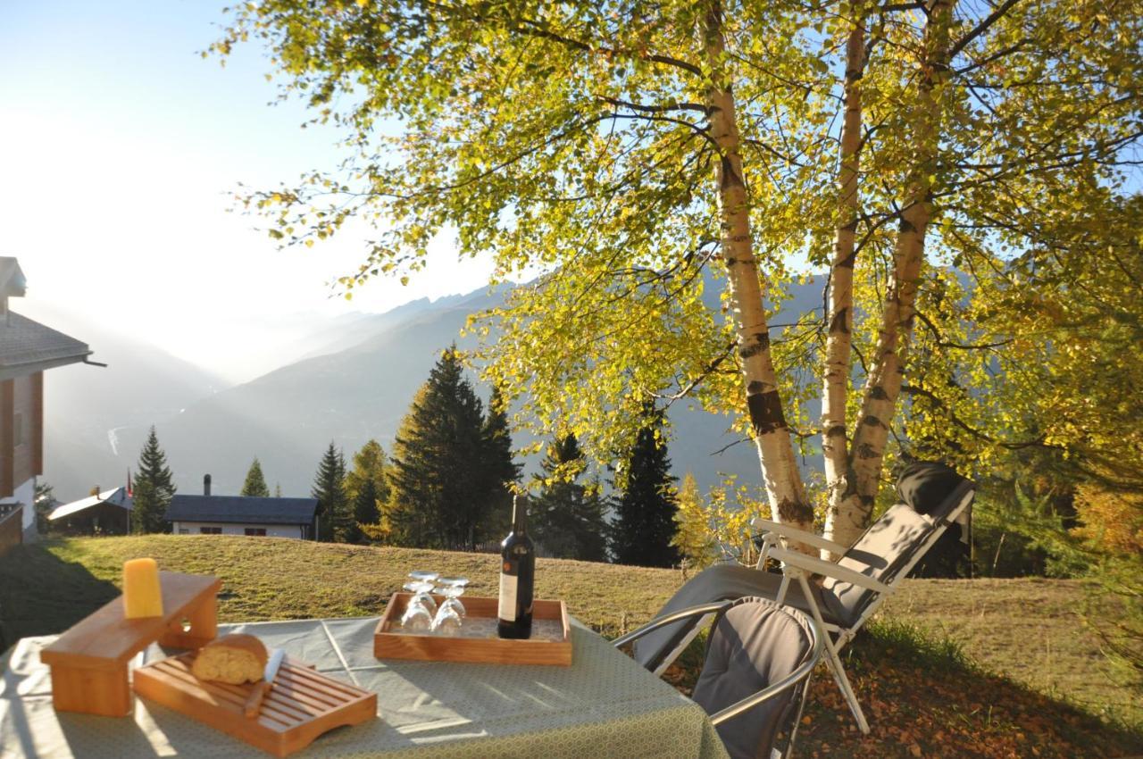 Chalet Bietschhorn Rosswald Termen Dış mekan fotoğraf